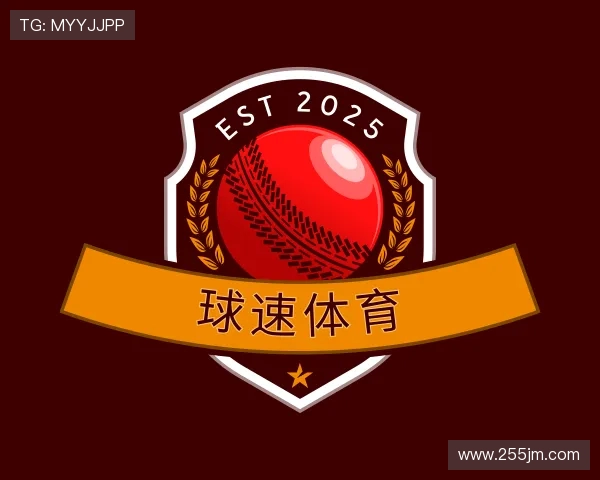介绍球速体育